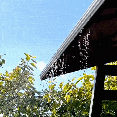 1-1gfhftm.gif__PID:0432a97f-831e-4e03-b265-dbfff0ccc4f6
