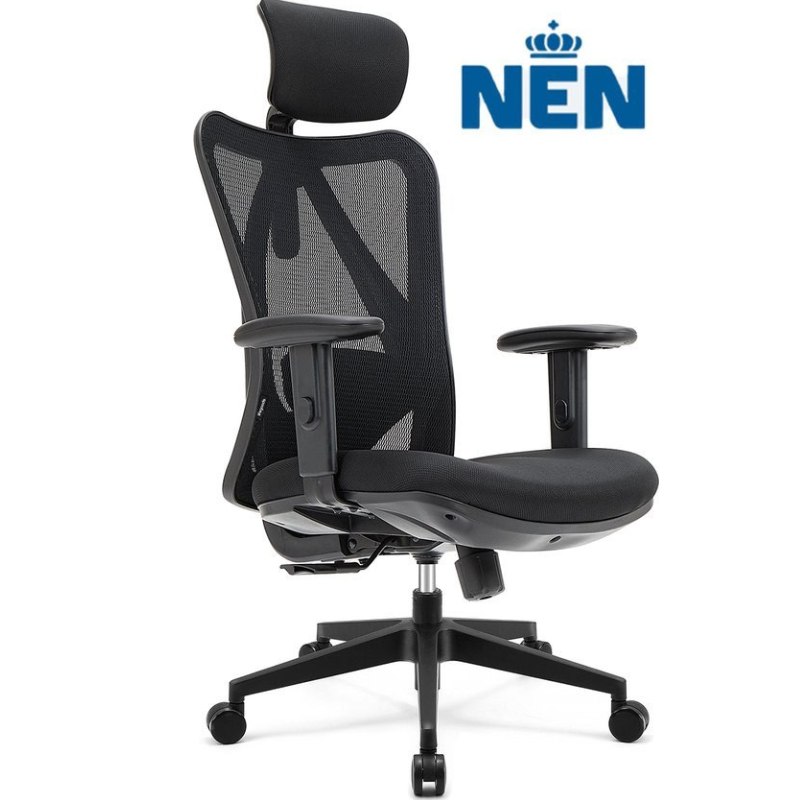Ergonomisch Kantoor Stoel