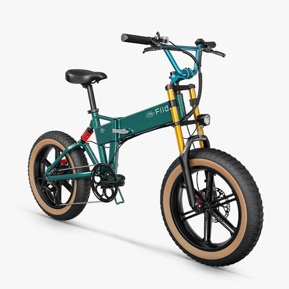 Fiido M1 Pro Fat Tire Elektrisch Fiets